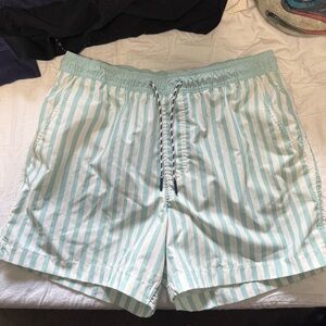 American Eagle Outfitters Blue and White Swim Trunks
